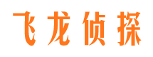 共和侦探公司